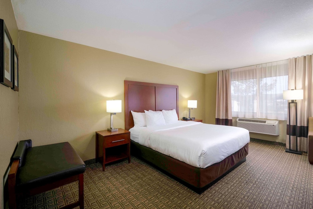 Room, 1 King Bed, Accessible, Non Smoking - Photo 1