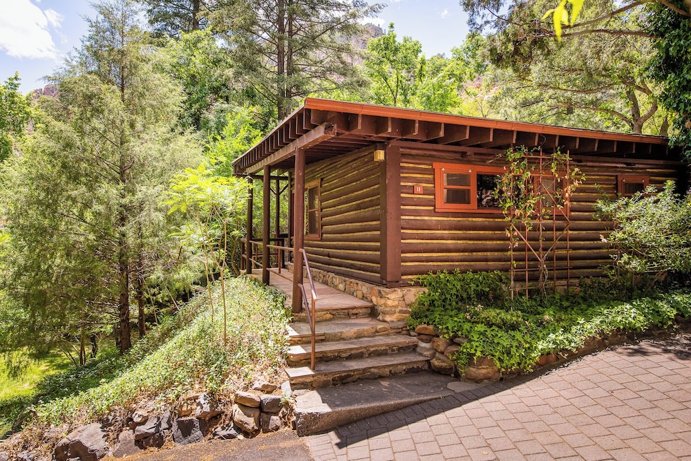Cabin 11