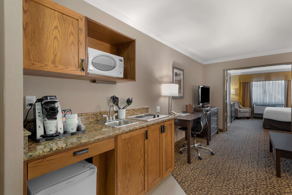 Business Suite, 1 King Bed, Non Smoking, Fireplace photo 1