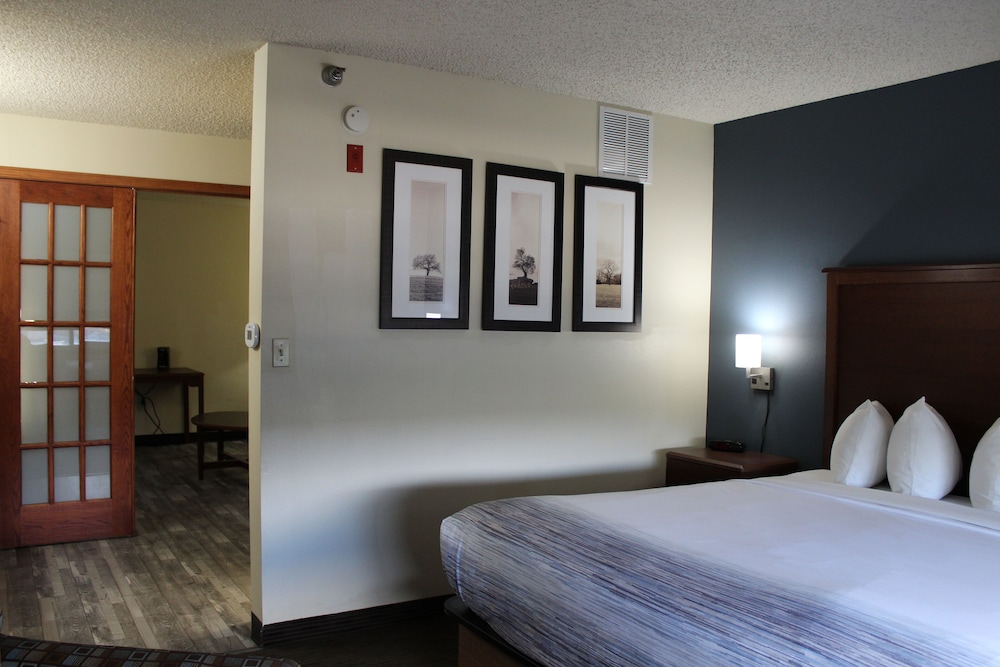 Deluxe Studio Suite, 1 King Bed, Non Smoking - Photo 7