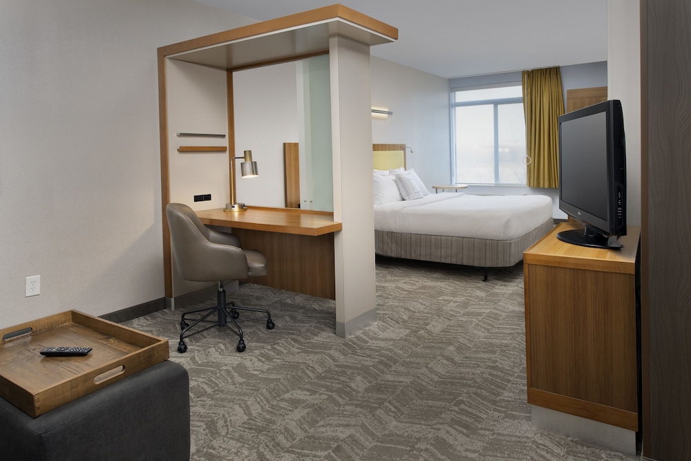 Studio, 1 King Bed with Sofa bed (Mobility/Hearing Accessible, Tub)
