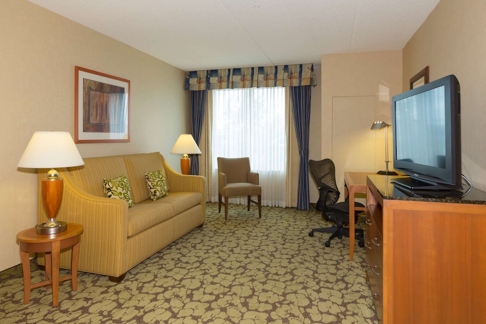 Deluxe Suite, 1 King Bed, Accessible (Roll-In Shower) - Photo 2