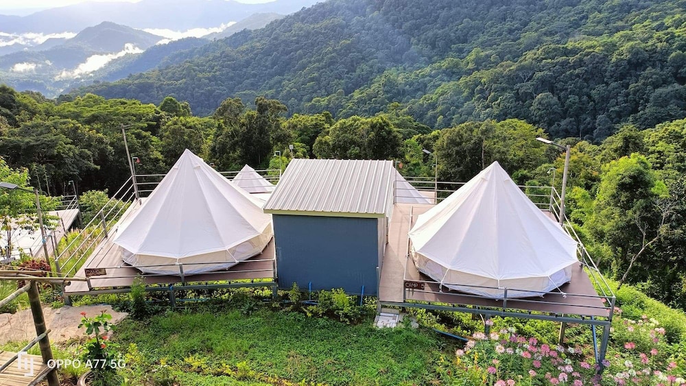 Deluxe Tent photo 3