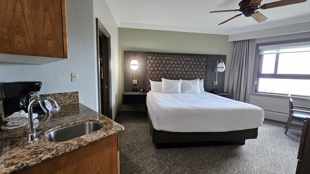 Basic Studio Suite, 1 King Bed With Sofa Bed