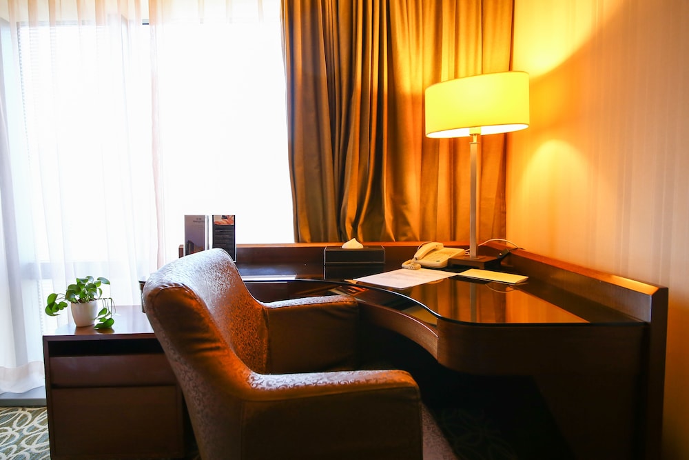 Deluxe Single Room, 1 Double Bed photo 3