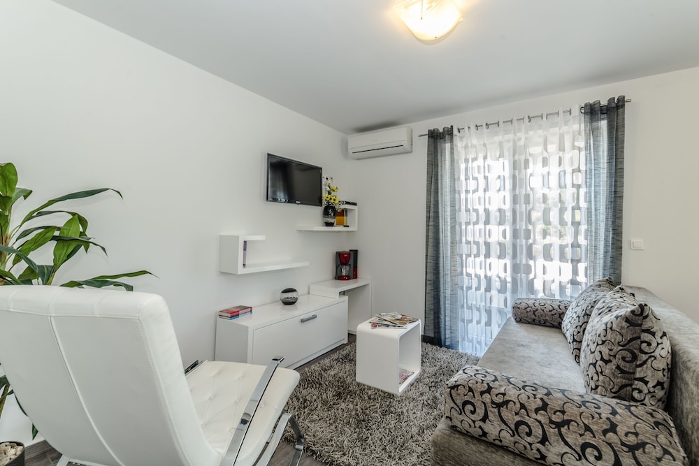 Luxury Apartment