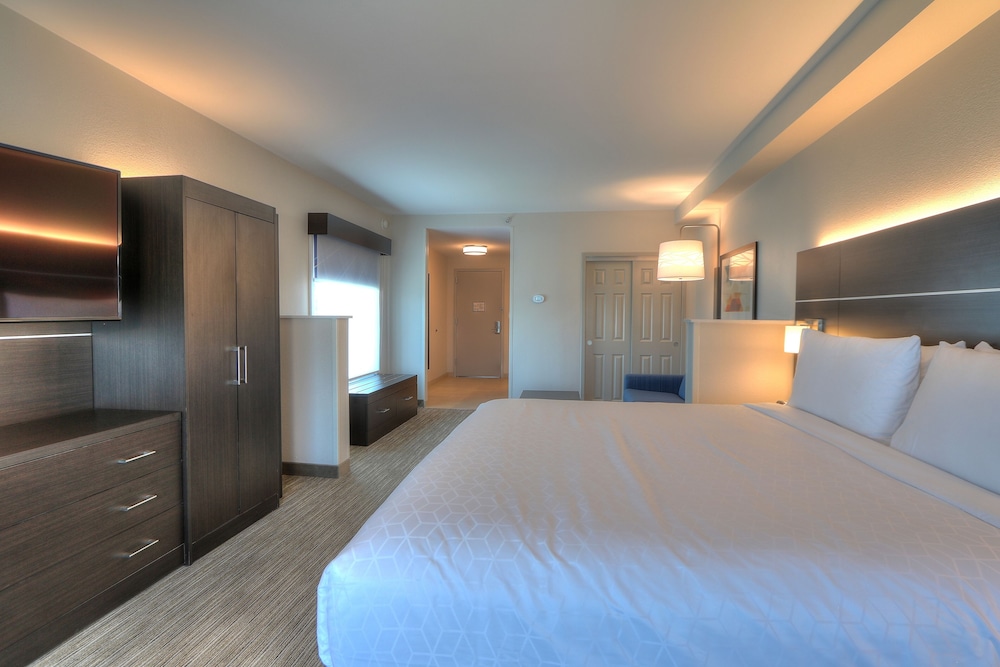 Suite, 1 King Bed - Photo 5