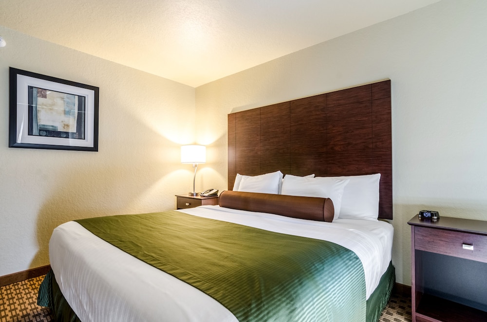 Room, 1 King Bed, Roll in Shower, Non Smoking, ACCESSIBLE photo 3