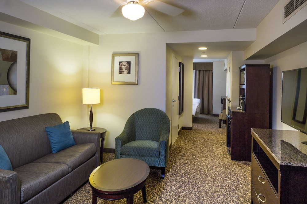 Suite, 1 King Bed with Sofa bed photo 3