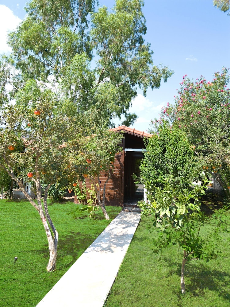 Comfort Triple Room, 2 Bedrooms, Courtyard View photo 2