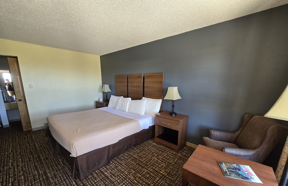 Standard Single Room, 1 King Bed, Non Smoking photo 1