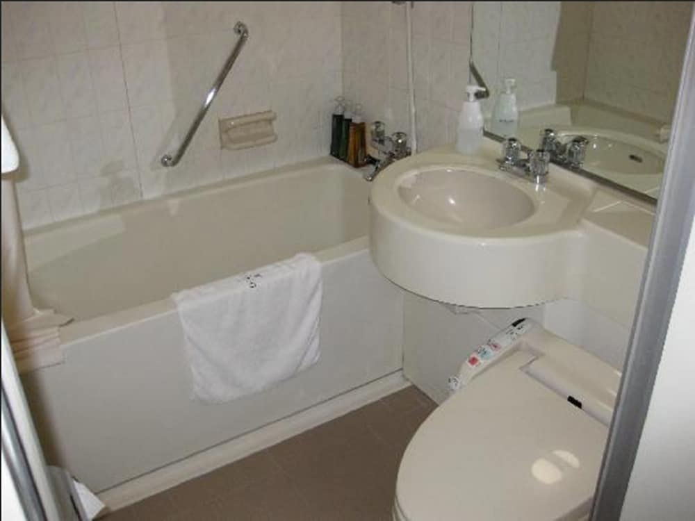 Double Room, Single Use, Smoking photo 2