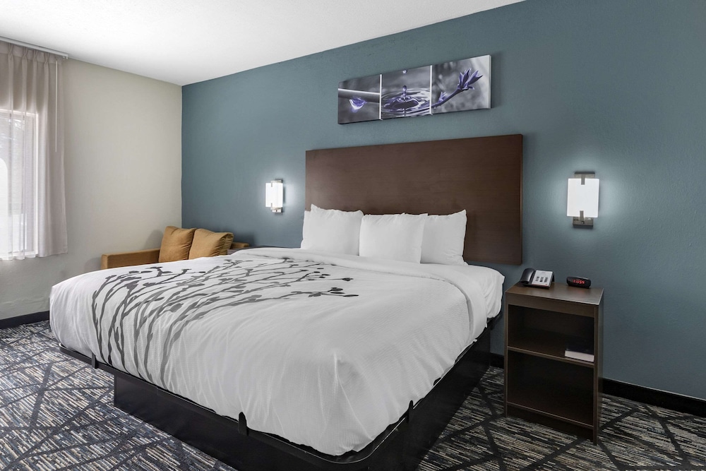 Standard Room, 1 King Bed, Non Smoking - Photo 1