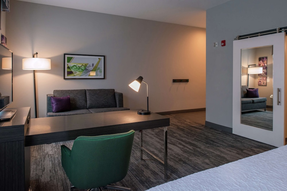 Studio, 1 King Bed, Accessible (Roll-In Shower) - Photo 1