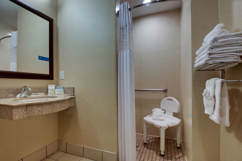 Studio, 1 King Bed, Accessible, Non Smoking (Mobility & Hearing, Roll-in Shower) - Photo 5