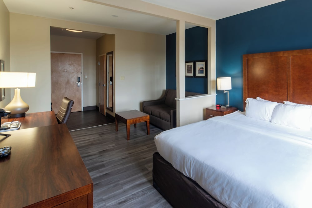 Suite, 1 King Bed - Photo 3