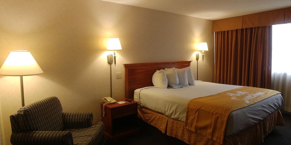 Room, 1 King Bed, Non Smoking photo 1