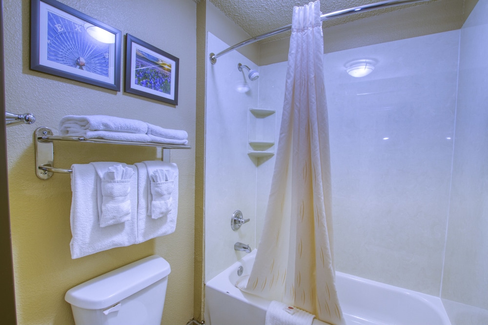 Suite, 1 King Bed, Non Smoking - Photo 5