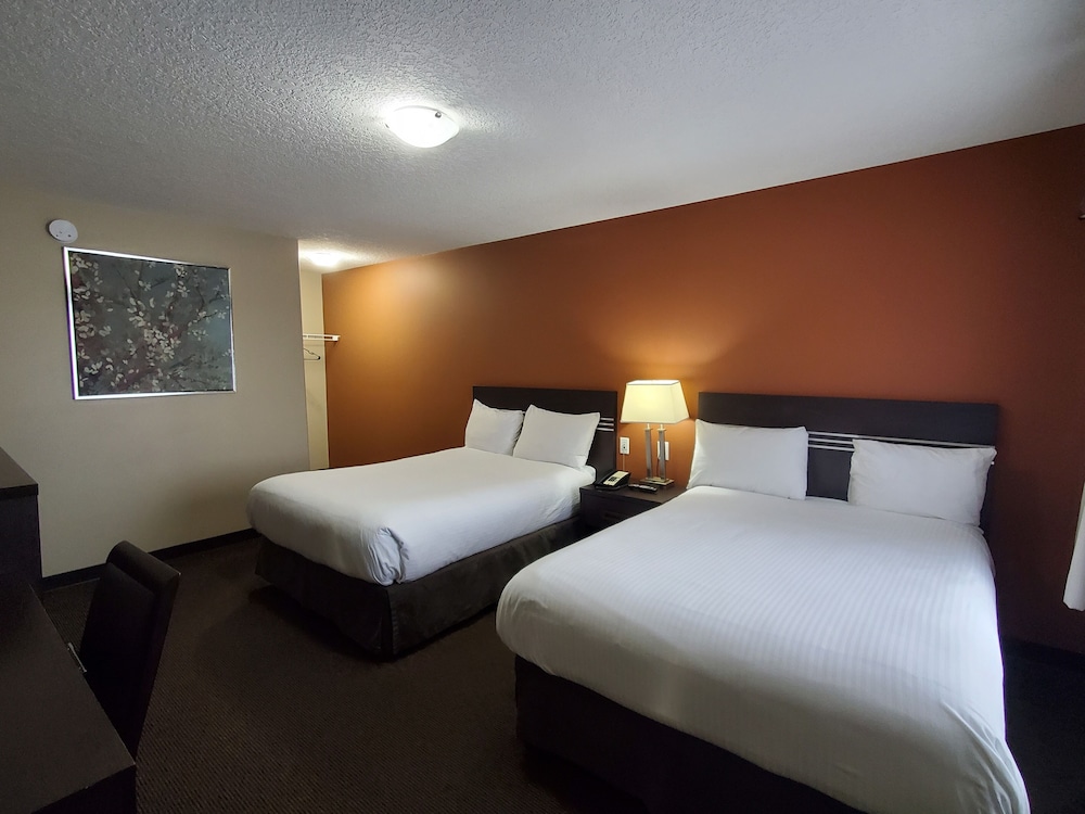 Basic Double Room, 2 Double Beds, City View photo 1