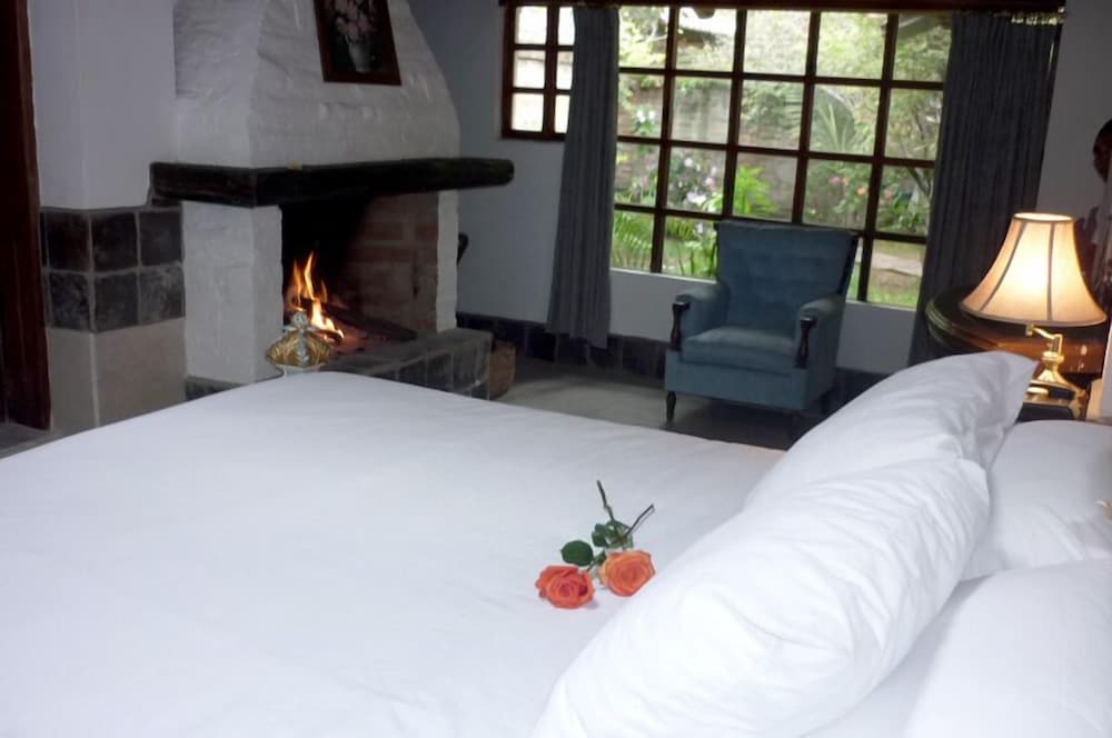 Single Room photo 1