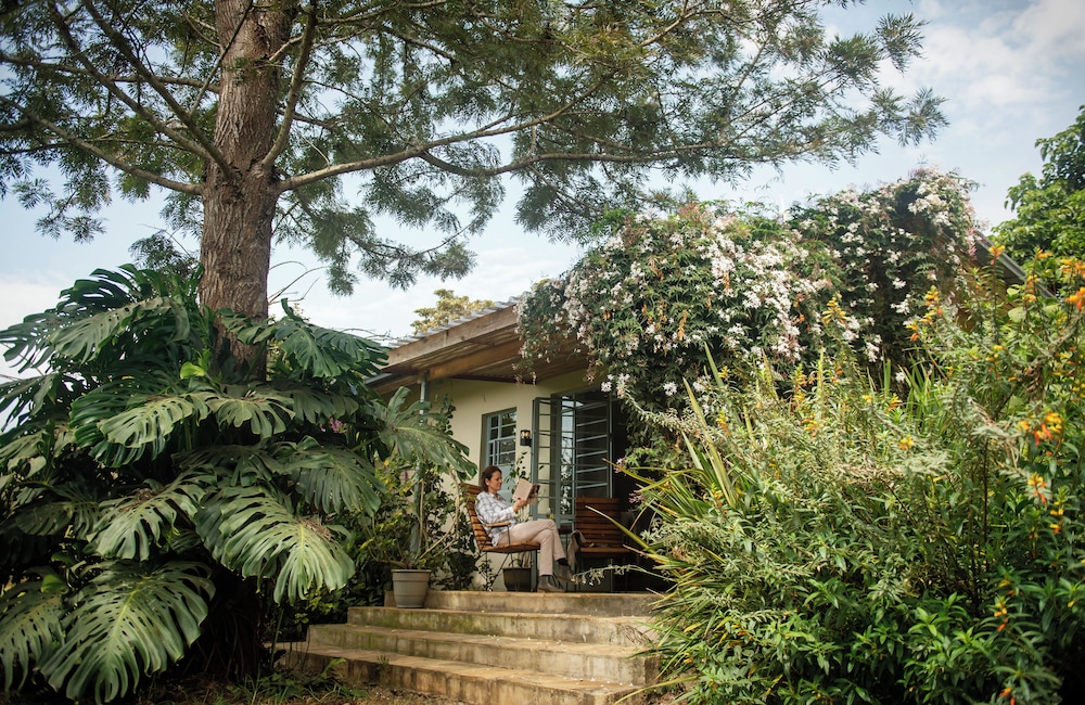 Premier Room, 1 King Bed, Garden View