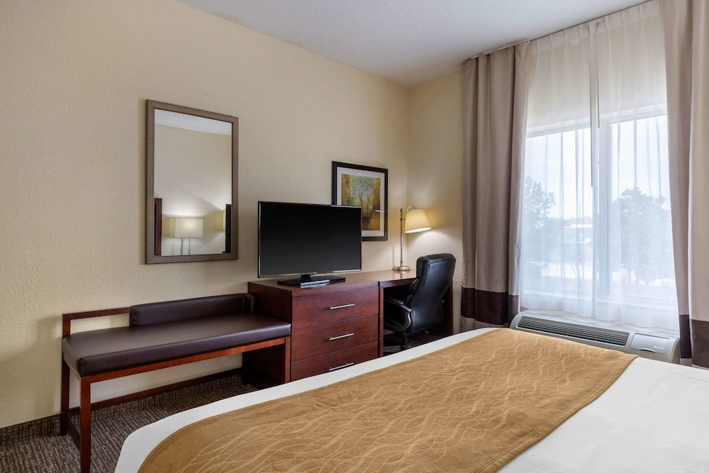 Standard Room, 1 King Bed, Non Smoking - Photo 4