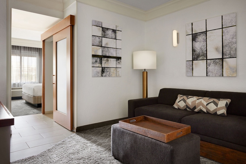 Studio Suite, 1 King Bed with Sofa bed (Hearing Accessible) photo 1