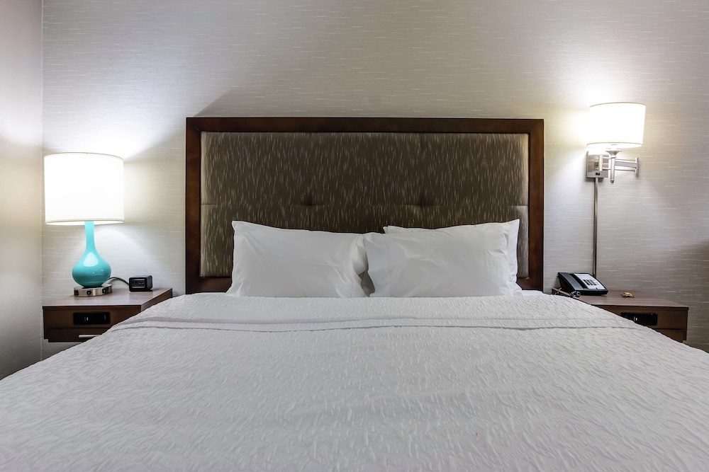 Room, 1 King Bed, Accessible - Photo 1