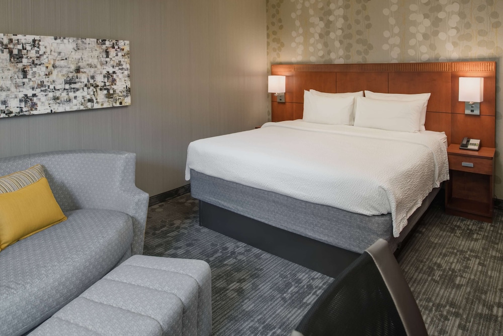 Room, 1 King Bed with Sofa bed, Accessible