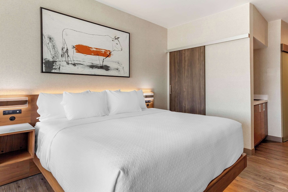 Premium Suite, 1 King Bed, Non Smoking - Photo 5