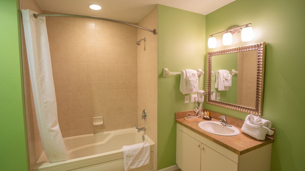 Suite, 1 Bedroom - Photo 3