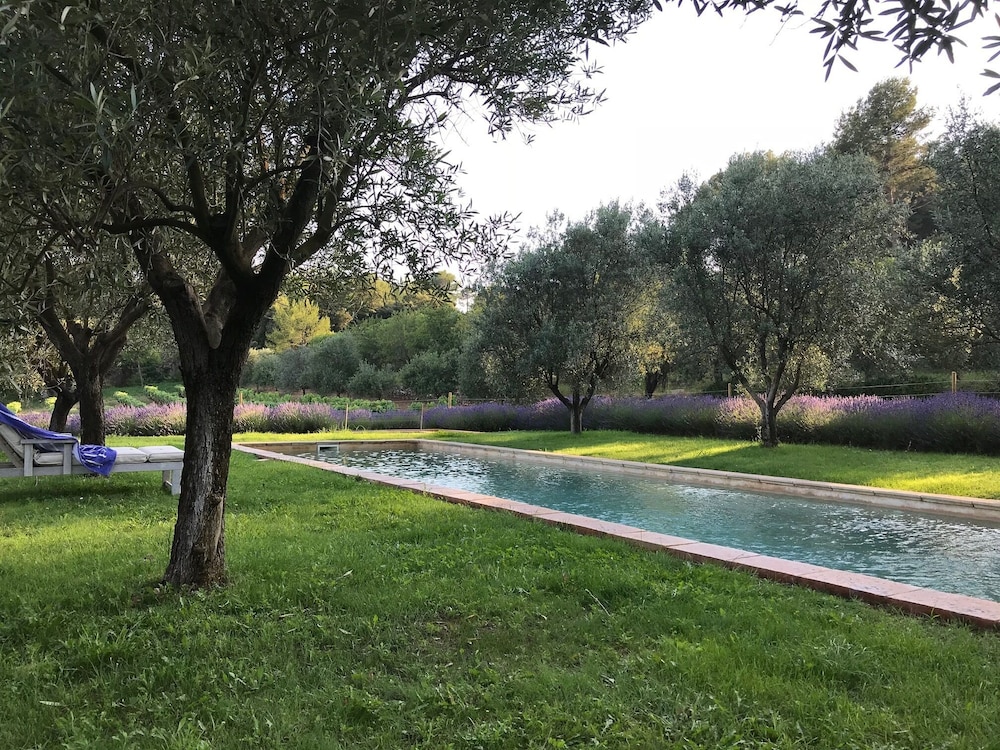 Deluxe Villa photo 2
