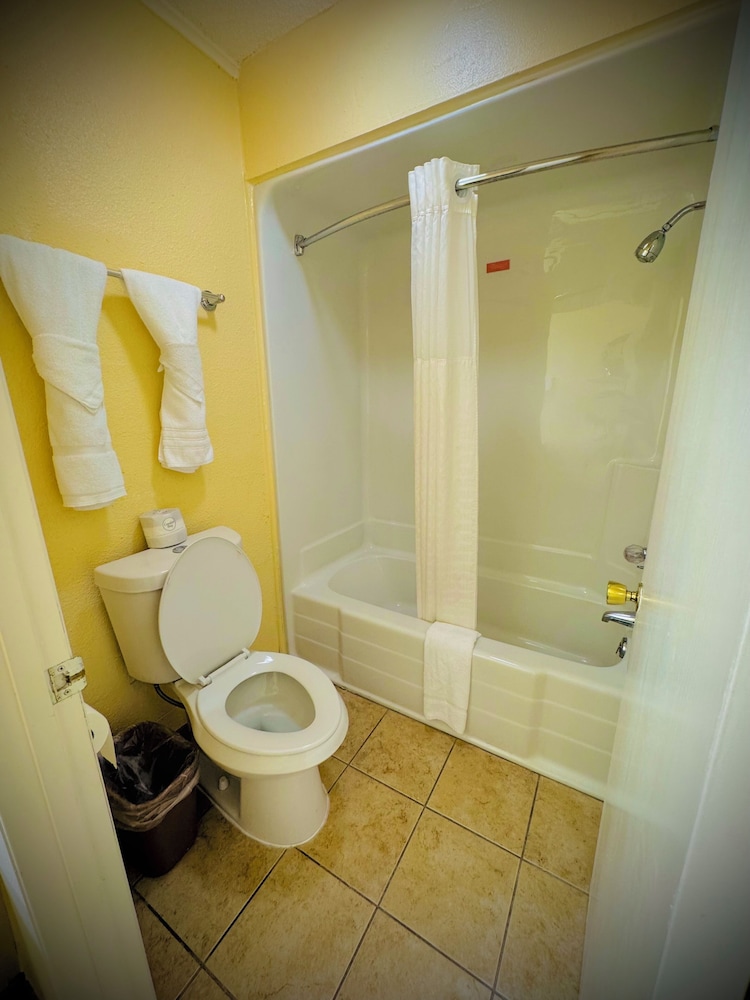 Standard Single Room, 1 King Bed, Non Smoking, Refrigerator & Microwave - Photo 6
