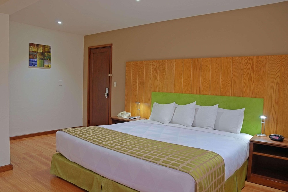 Room, 1 King Bed, Non Smoking - Photo 8