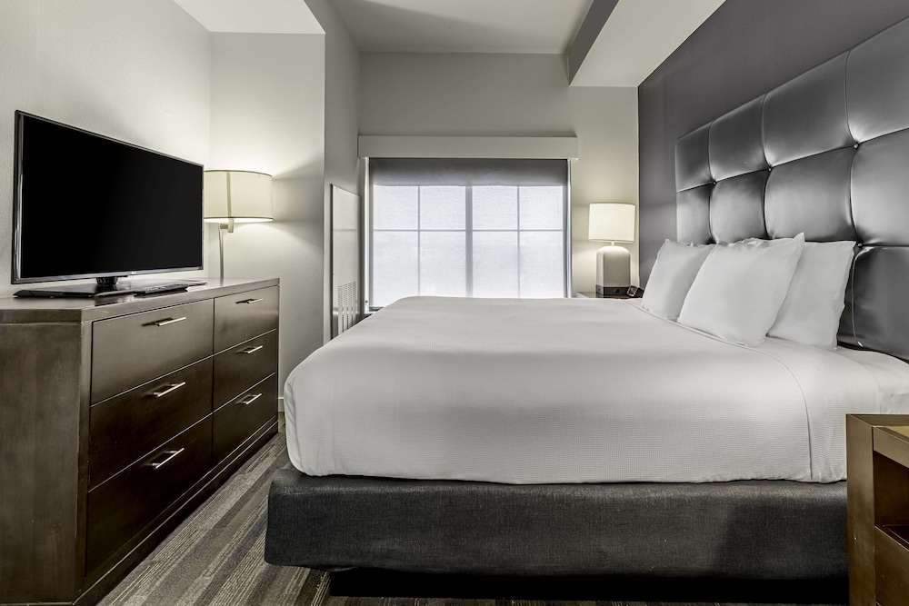 Executive Suite, 1 King Bed photo 1