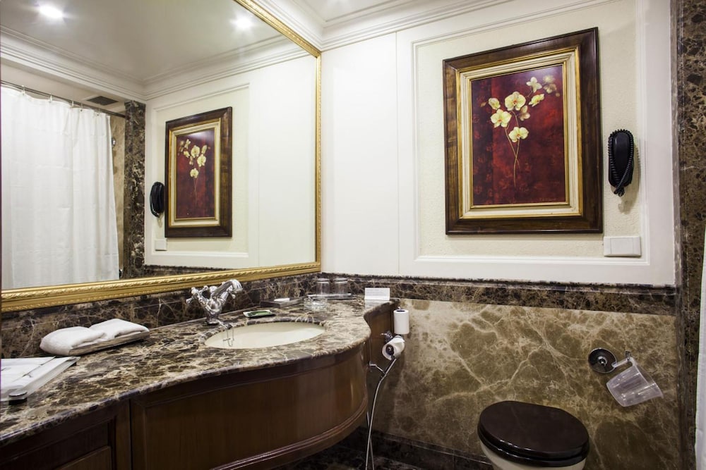 Suite (Radisson Club) photo