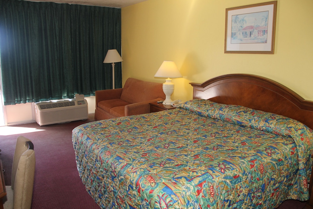 Single Room, 1 King Bed