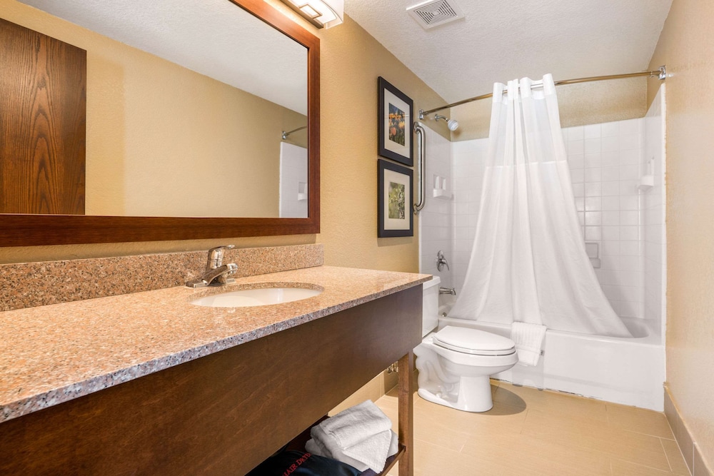 Suite, 1 King Bed, Non Smoking (with Wet Bar) - Photo 5