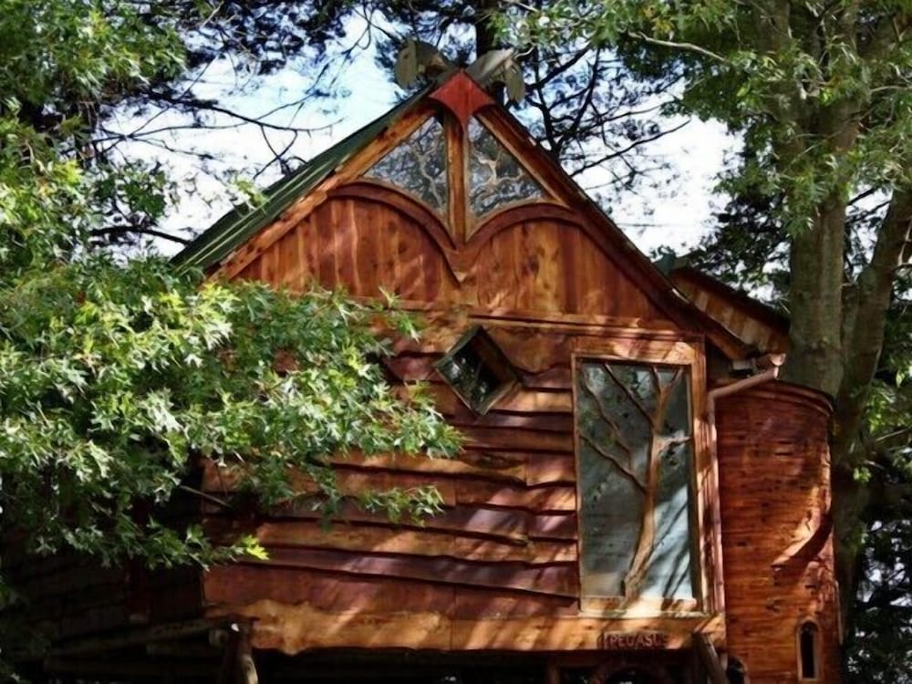 Pegasus Treehouse photo 1