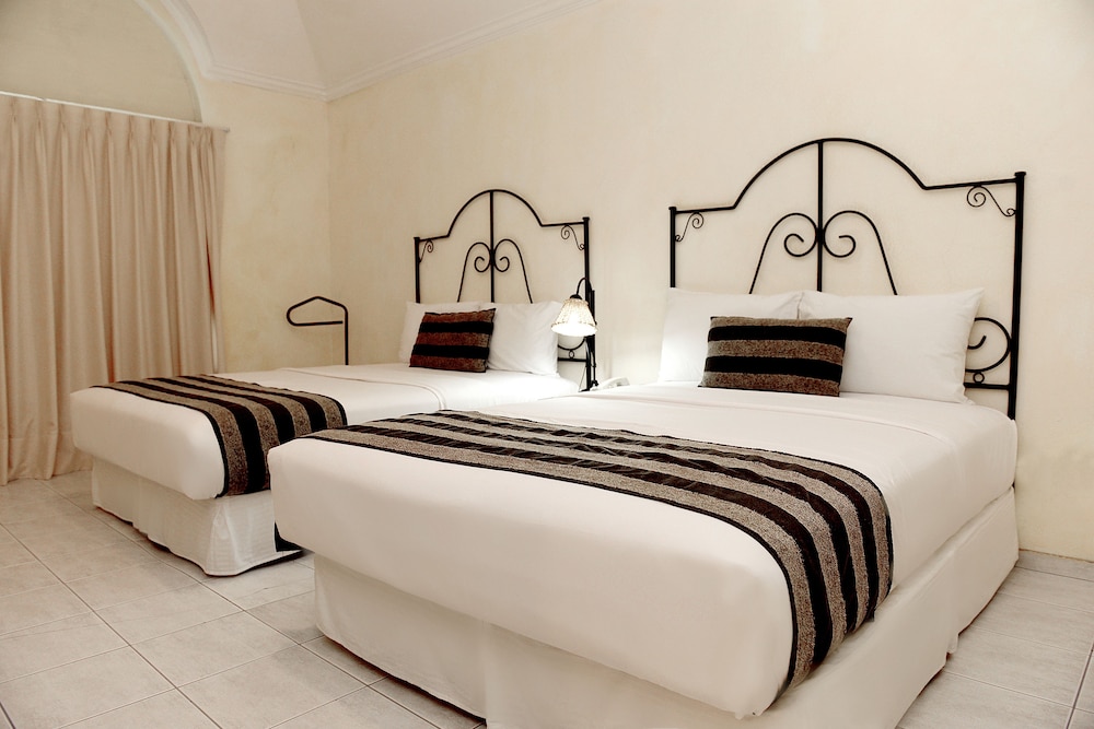 Premium Suite photo 1