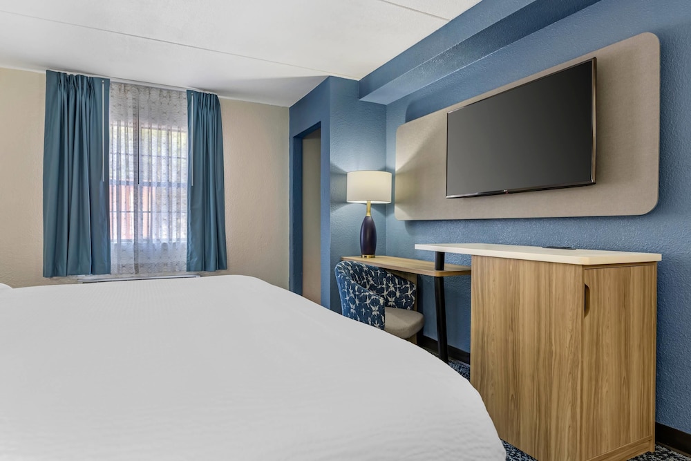 Suite, 1 King Bed, Non Smoking (Efficiency) photo 3
