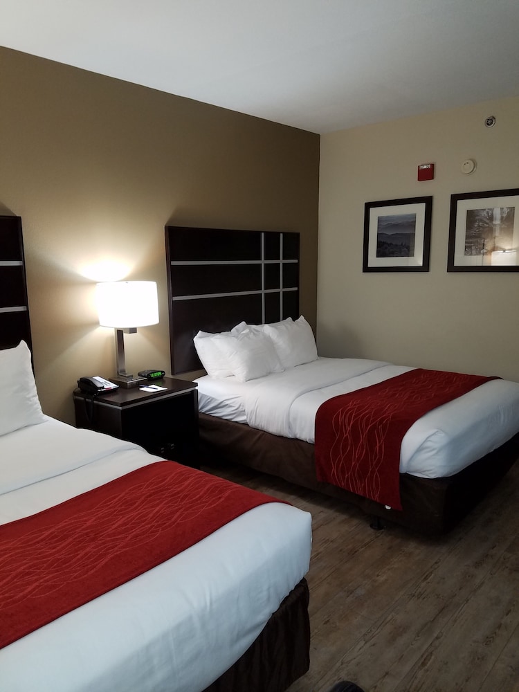 Room, 2 Double Beds, Accessible, Non Smoking - Photo 2