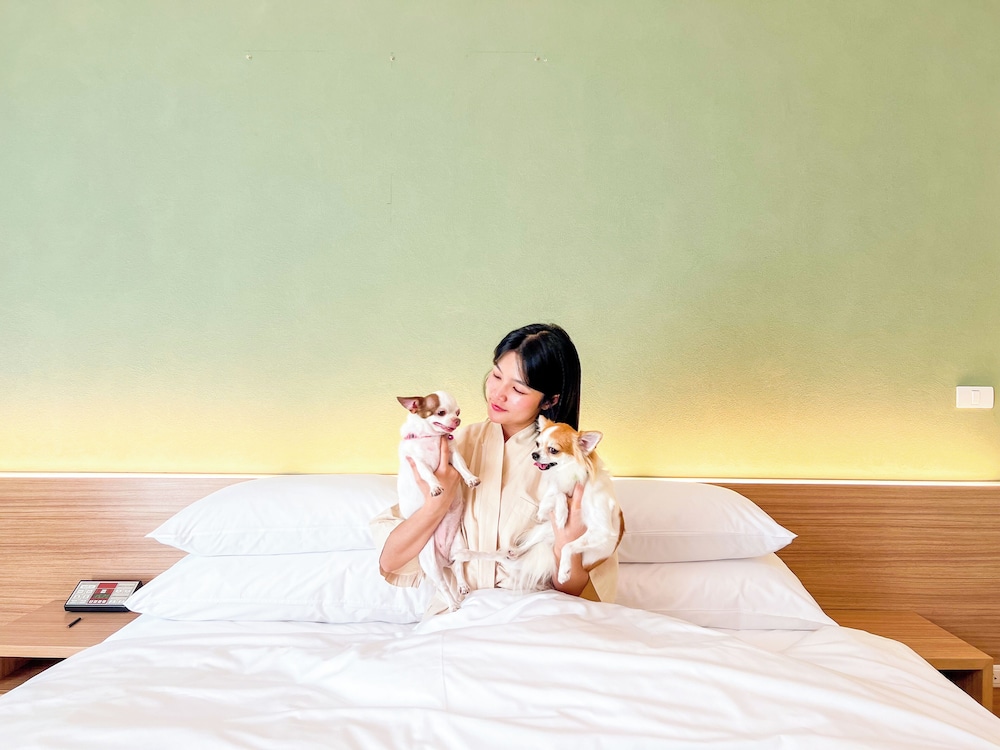 Kaset Pet-friendly Room