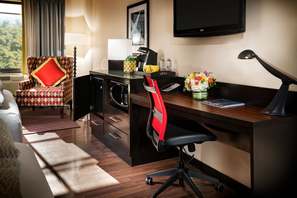 Junior Suite (Maxwell Ensemble) - Photo 3