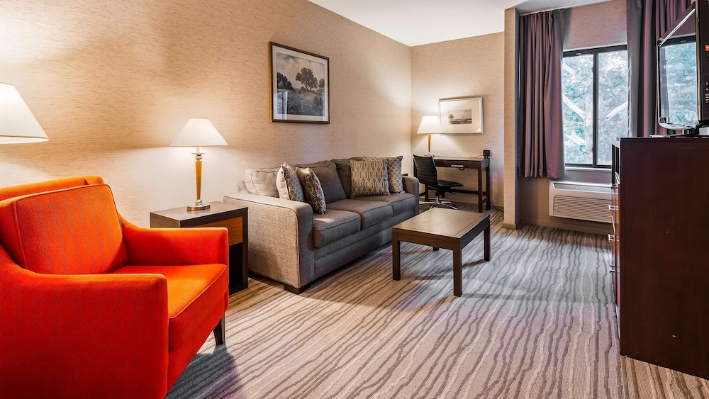 Suite, 1 King Bed, Non Smoking, Refrigerator & Microwave (With Sofabed) photo 2