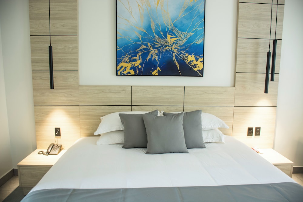 Premium Room, 1 King Size Bed