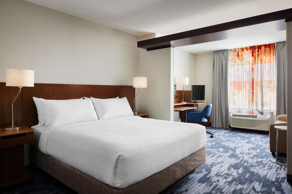 Studio Suite, 1 King Bed with Sofa bed
