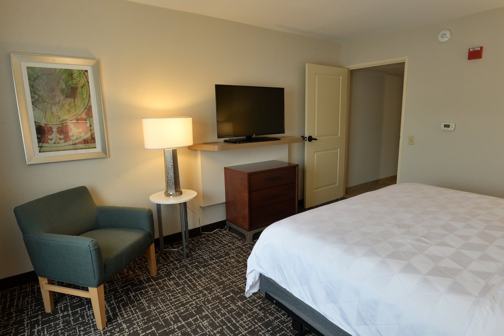 Suite, 1 King Bed, Accessible (Mobility Tub) photo 2