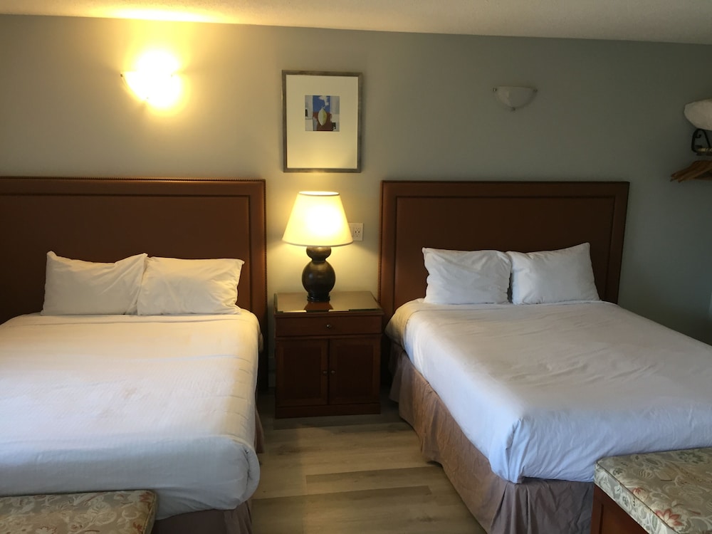 King Studio Suite with Kitchenette photo 2