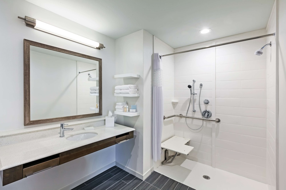Studio, 1 King Bed, Accessible (Roll-in Shower)